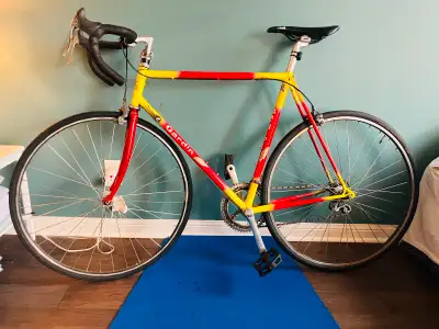 Vintage Joe Gardin Road Bike – Columbus Steel – $1200, View more