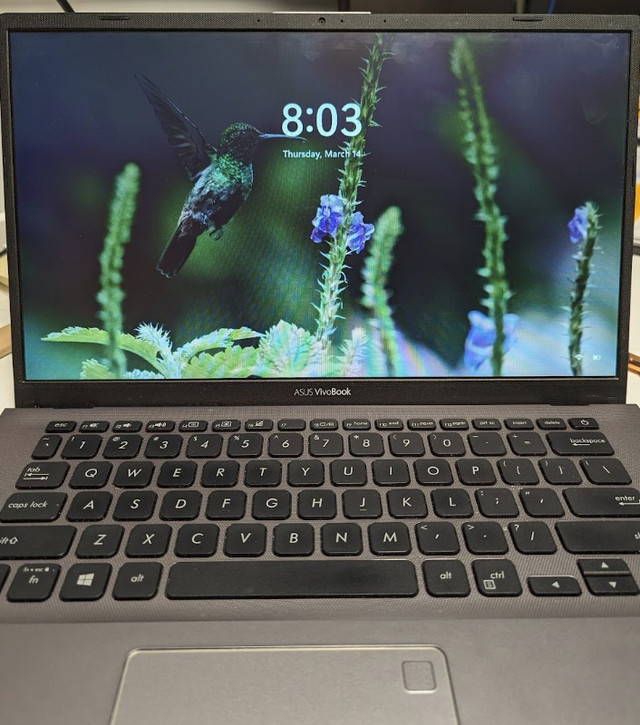 Asus Vivobook 14" in Laptops in Truro