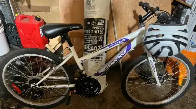$110 obo.