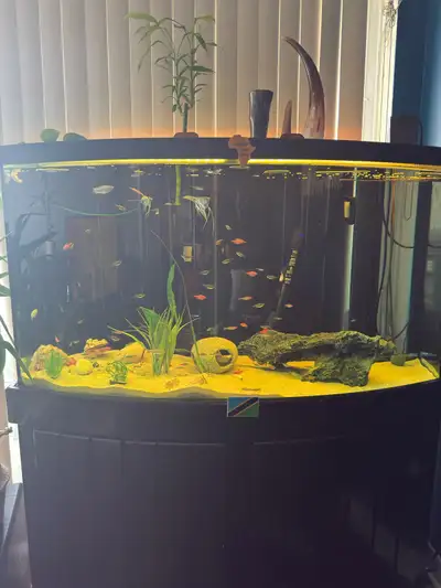 aquarium with stand, View more