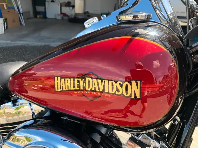 Harley Davidson Heritage Softail in Street, Cruisers & Choppers in Kamloops - Image 6