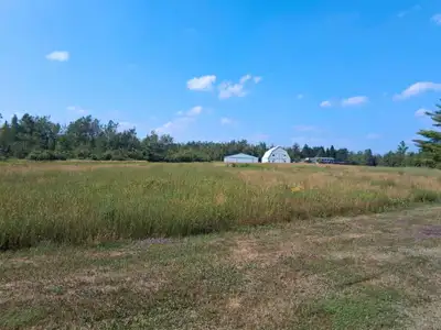 FREE Hay for Animals - Hay the Fields Yourself, View more