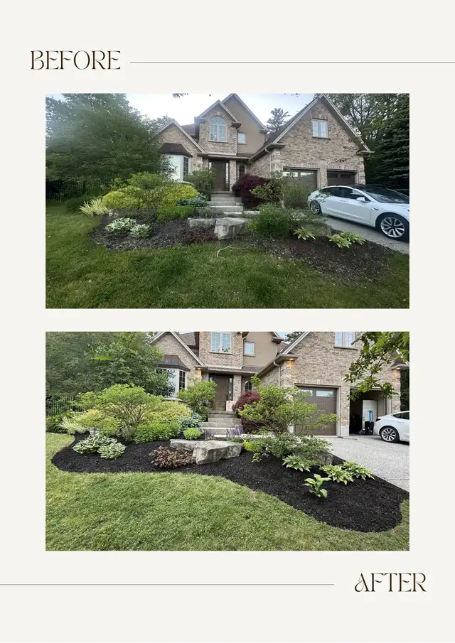 Professional Landscaping