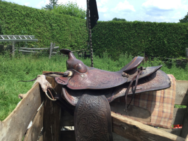 Horse saddle in Equestrian & Livestock Accessories in Belleville