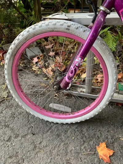 Pink Bicycle , View more
