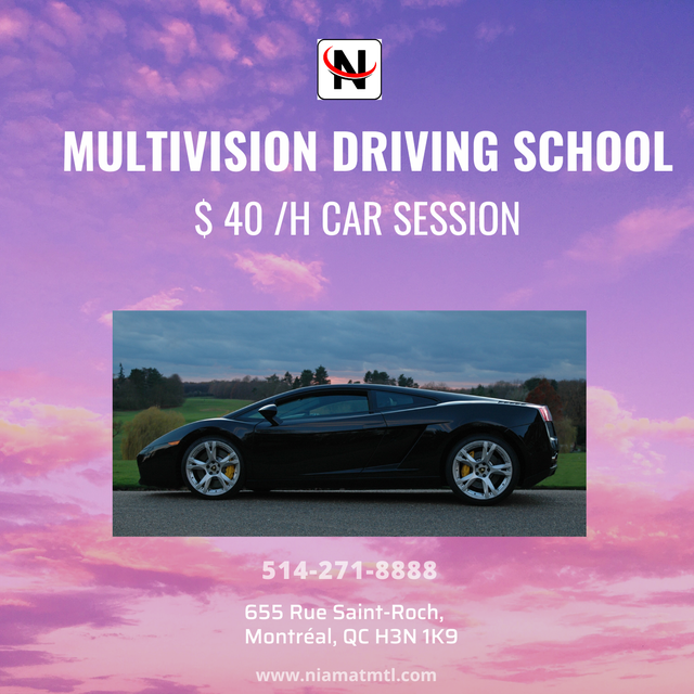 PRIVATE CAR DRIVING CLASSES WITH PROFESSIONAL494961889546741762