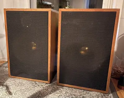 Klipsch look-alike. They came from an estate where I had to buy all pieces to get what I wanted. No...