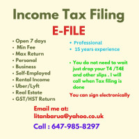 Income Tax Filing ( E-File)