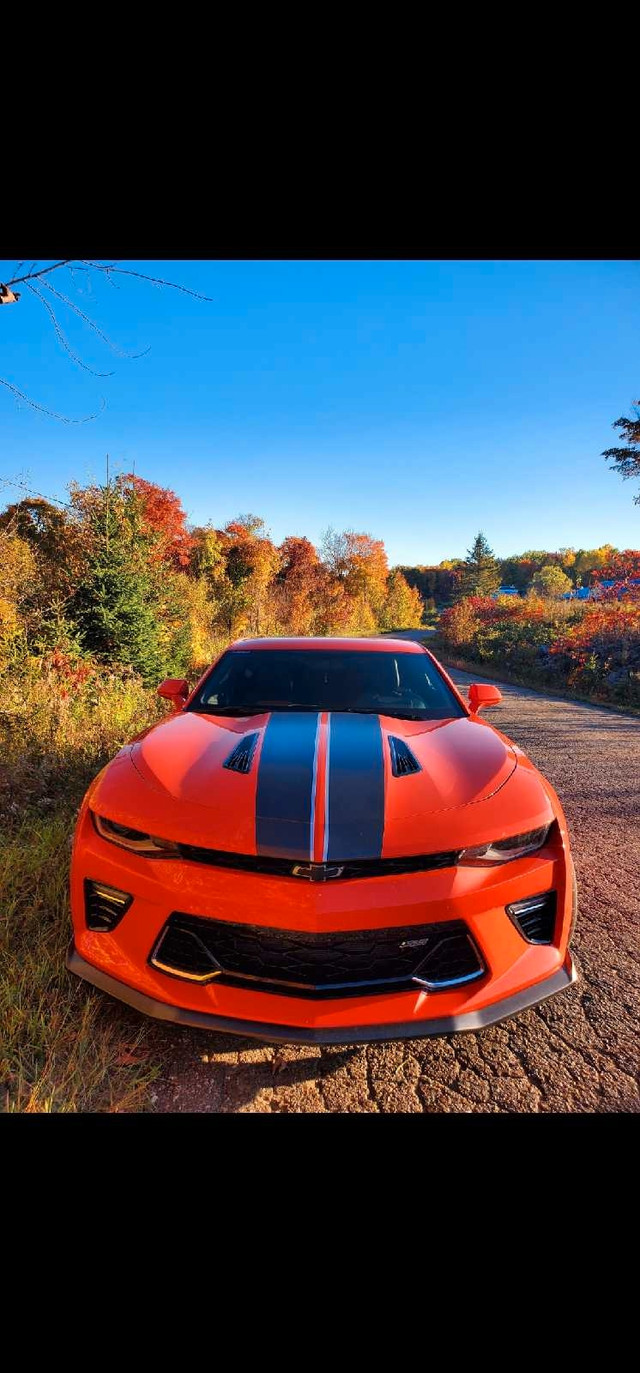 camaro édition hotwheels 2SS in Cars & Trucks in Gatineau