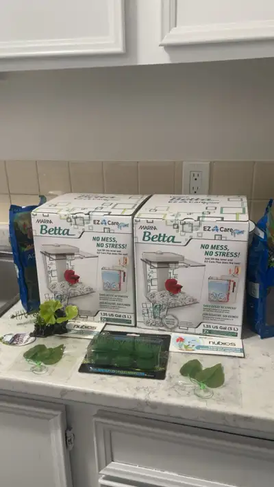 Two male Betta Fish, tanks, tank accessories, food, water conditioner