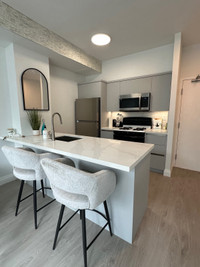 Luxurious Furnished 1 Bedroom next to CN tower 