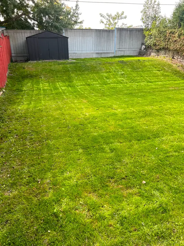 Landscaping & Junk Removal62863721646979122