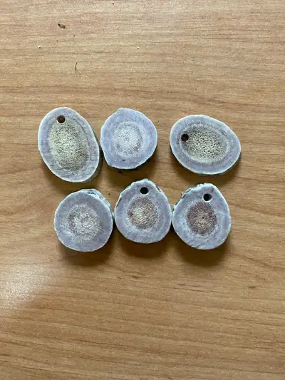 Real natural deer antler slices. Good for making jewelry. These were all from a naturally shed deer...