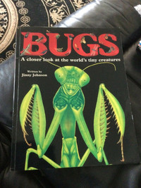 Bugs: A Closer Look at the World's Tiny Creatures Paperback 