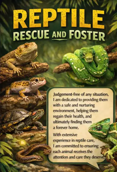 reptile rescue and rehoming, View more
