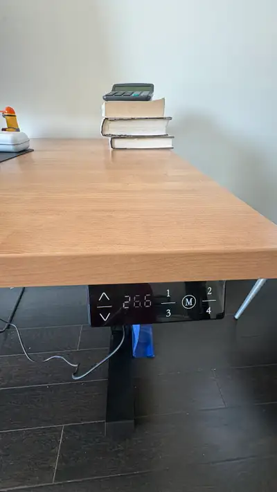 Electric Standing Desk, View more