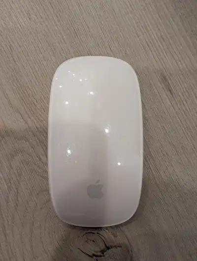 Apple Wireless Mouse (AA Batteries) - $15 OBO, View more