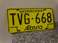 License Plates ,  2 ,  nice condition, both B. C.