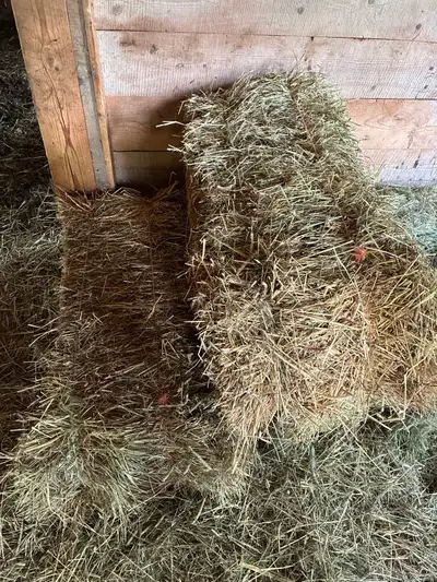 Square Bales, View more