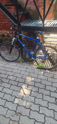 24 speed Norco Mountain bike