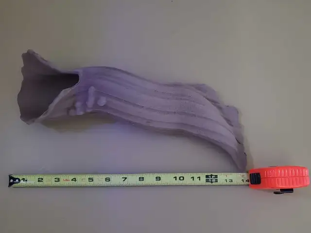 XL pleco cave  in Fish for Rehoming in Calgary - Image 3