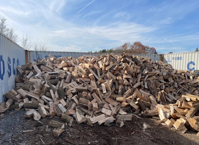 Firewood for Sale - Delivery Scarborough Hardwood for Sale in Fireplace & Firewood in City of Toronto - Image 2