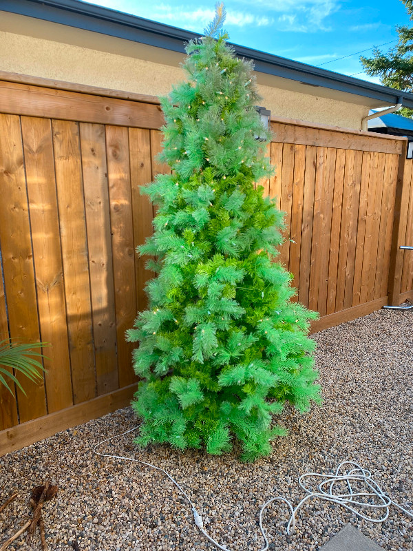 7 Foot Tall Light Green Prelit Christmas Tree in Holiday, Event & Seasonal in Winnipeg - Image 2