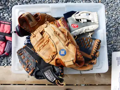 Baseball Gloves and Bats, View more