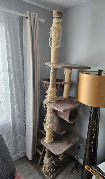 Cat tree & Accessories, View more