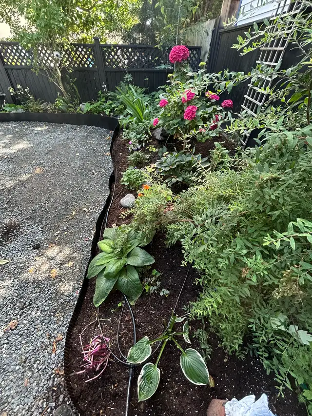 Fairfield Cottage Fully Furnished/All Utilities Included in British Columbia in Canada - Image 11