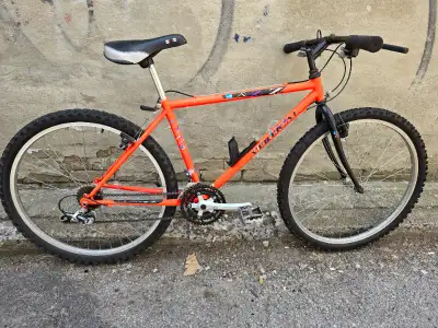 Vintage vertical jazz mountain bike, View more