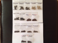 Assorted sunflower plant seeds