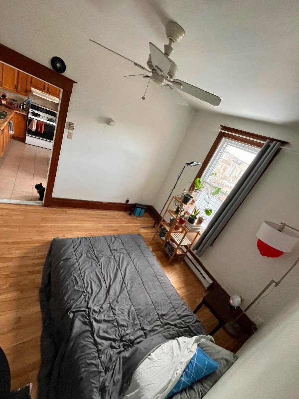May-June private room - female only in Room Rentals & Roommates in City of Montréal