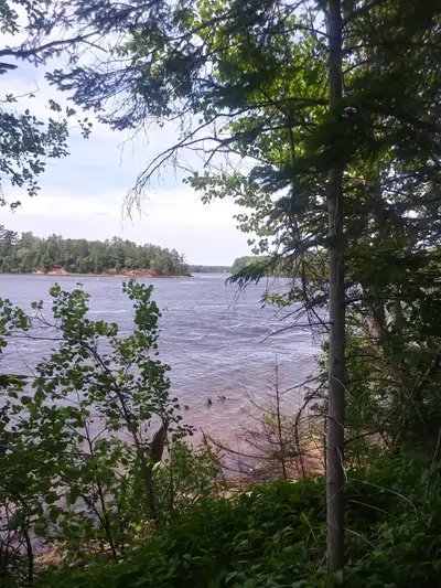 More than 500 ft of salt water, tidal waterfront on pristine River Philip, Cumberland County, Nova S...