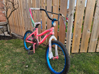 Toddler Bike 18"