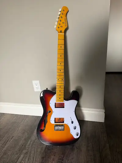 Telecaster HH Guitar (no pickups), View more