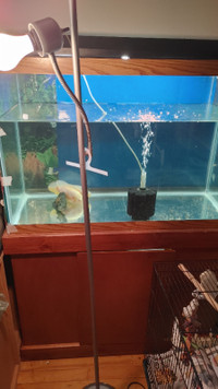 67 Gallon complete Setup For Aquarium Fish Tank for Sale