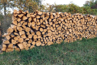 Firewood for sale