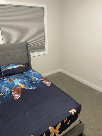 This is a room for rent in a basement its the only room in the basement witha little hall. The room...