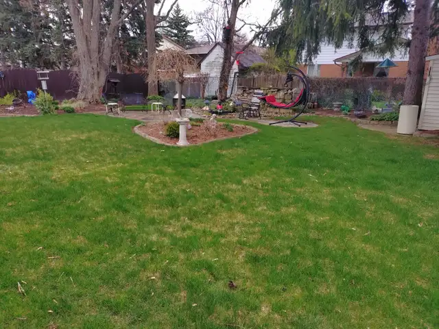 Affordable Lawn Care – Kitchener, Waterloo, Cambridge & Guelph