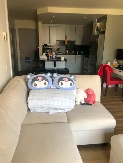1 bedroom 1 bathroom condo in the downtown area for rent