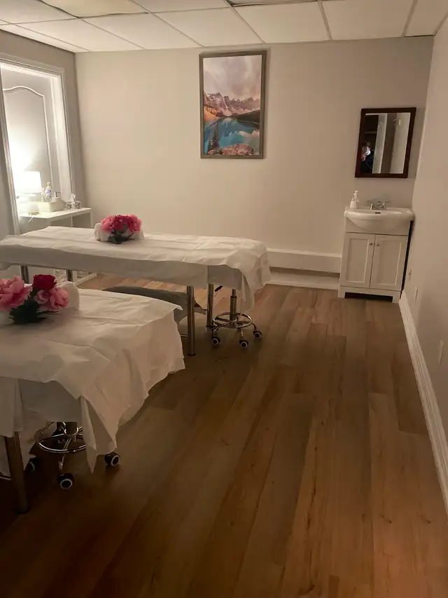 Excellent Massage - Mainway Burlington in Massage Services in Oakville / Halton Region - Image 5