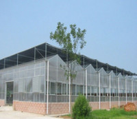 12*24m Greenhouse for Sale