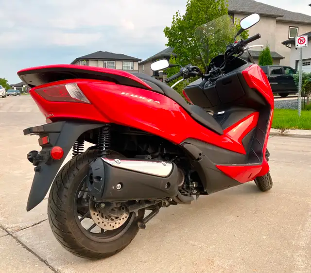 2014 Honda Forza 300 ABS Fresh Safetied in Scooters & Pocket Bikes in Winnipeg - Image 4