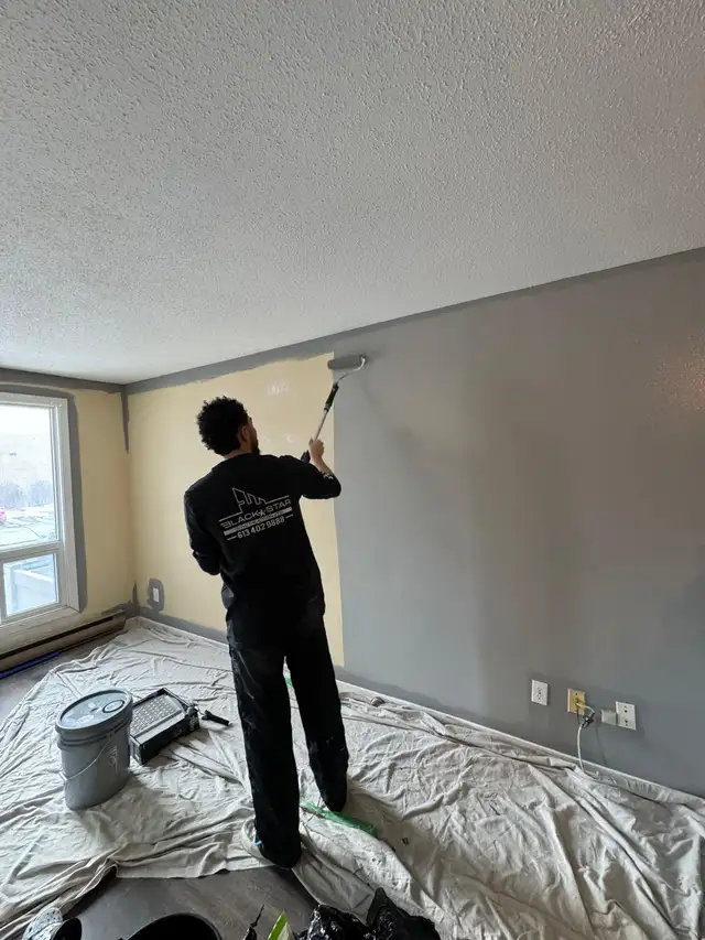 Affordable Painting Services - Black Star Construction (5⭐️)62863229020673121