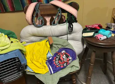 Puppy/Small Dog starter kit, View more