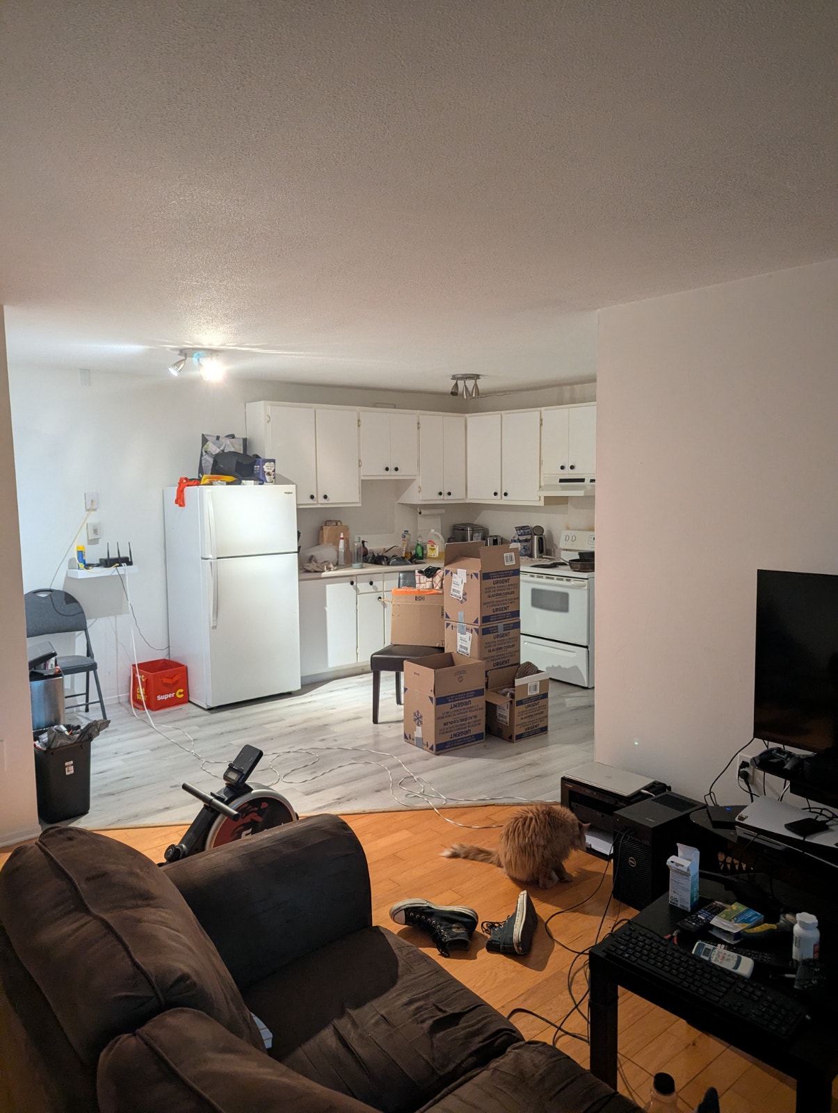 2780 Rue Mézy — photo 3