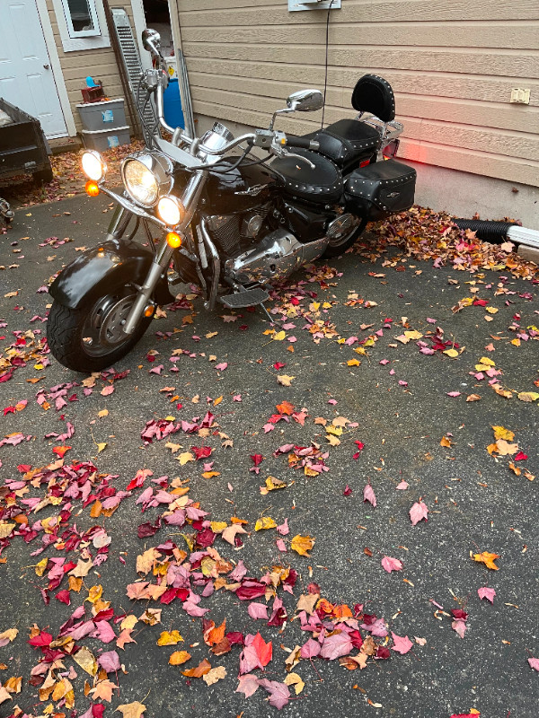 moto suzuki c90t (1500cc) dans Routières  à Ville de Québec - Image 4