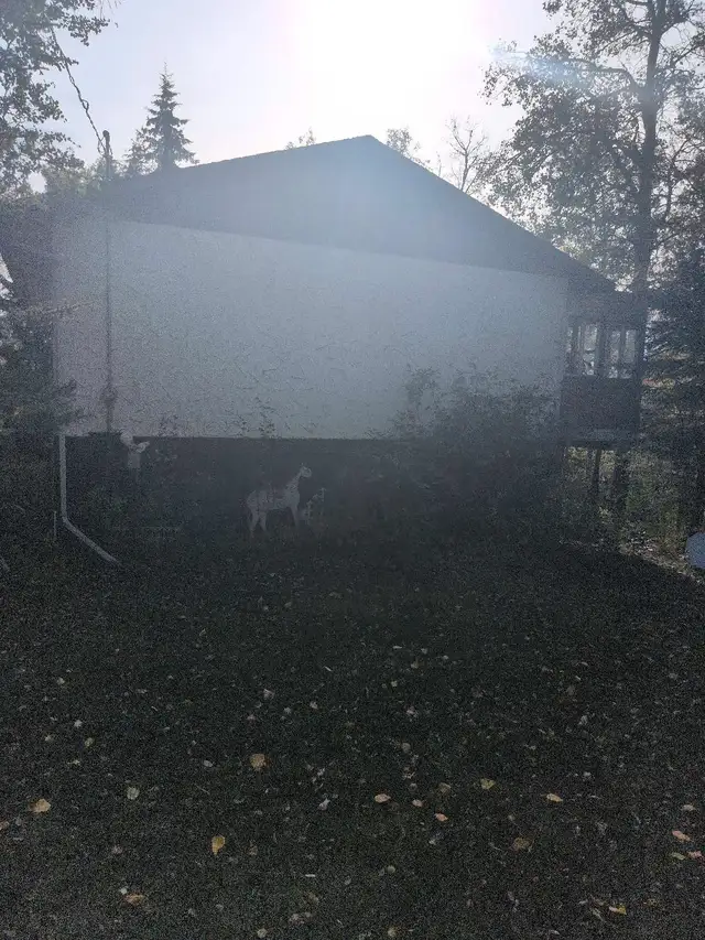 house,needs to be moved,off property.63826903938433121