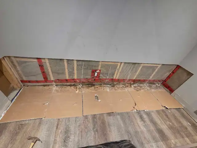 VISIBLE MOLD? DON'T WAIT – IT'S GROWING RIGHT NOW!522604453131069445
